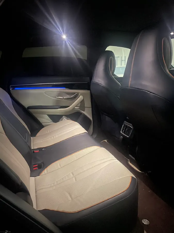 2021 SRM Sea Lion EV BEV 41.86KWH,autocango,china used car exporter,china ev exporter,chinese used car exporter,chinese used ev exporter