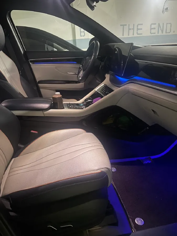 2021 SRM Sea Lion EV BEV 41.86KWH,autocango,china used car exporter,china ev exporter,chinese used car exporter,chinese used ev exporter