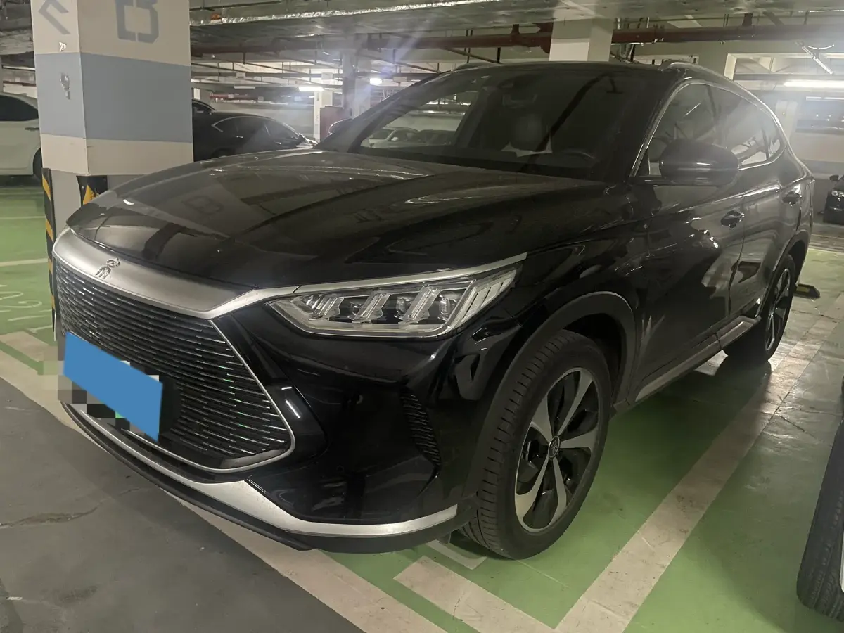 2021 SRM Sea Lion EV BEV 41.86KWH