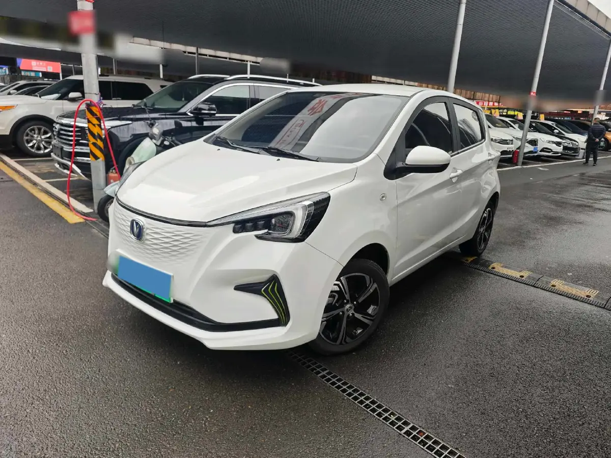 2022 ChangAn BenBen E-Star BEV 31.95KWH