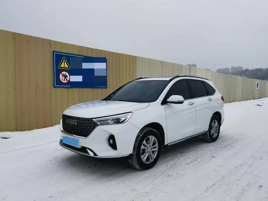 2022 Chery Little Ant BEV 40.6KWH