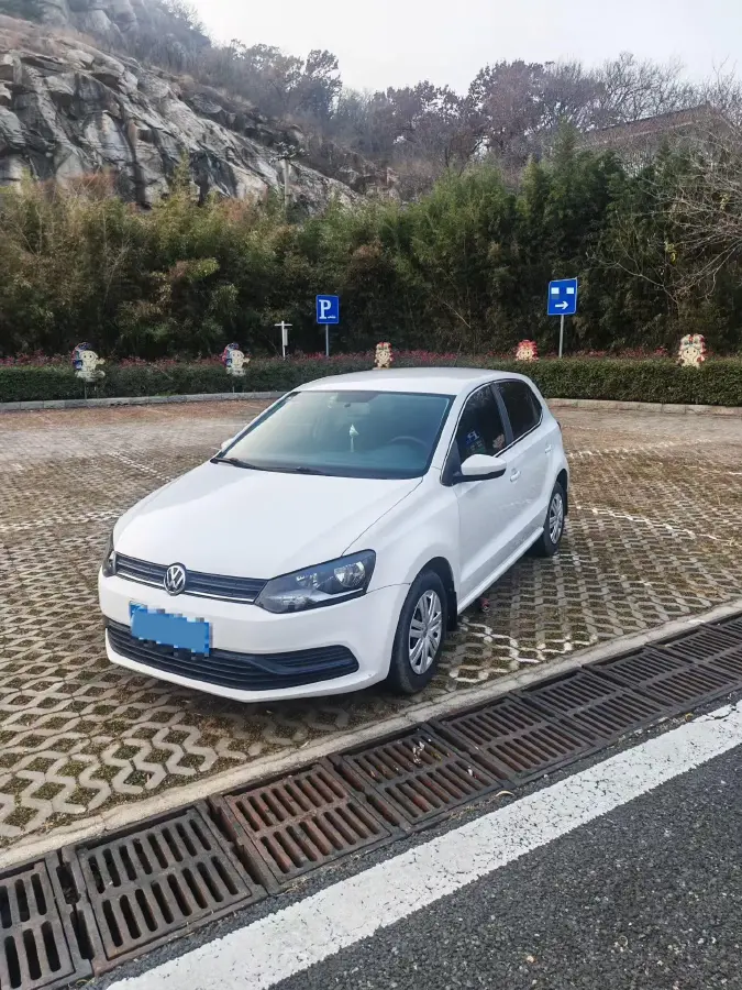 2016 Volkswagen Polo 1.4L 90HP L4 6AT