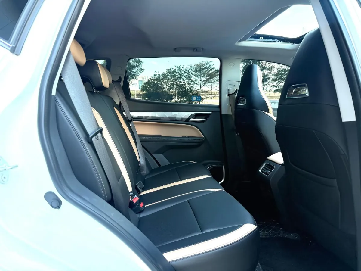 2024 Geely OkavangoPRO 1.5T 181HP L4 7DCT,autocango,china used car exporter,china ev exporter,chinese used car exporter,chinese used ev exporter