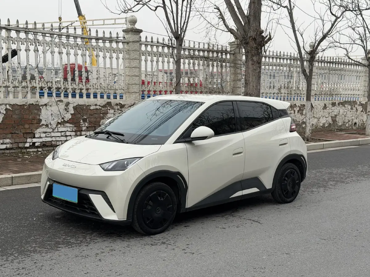 2024 BYD Seagull BEV 30.08KWH