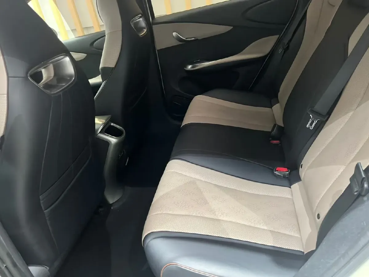 2023 BYD Dolphin BEV 44.928KWH,autocango,china used car exporter,china ev exporter,chinese used car exporter,chinese used ev exporter