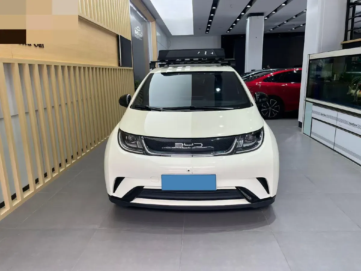 2023 BYD Dolphin BEV 44.928KWH,autocango,china used car exporter,china ev exporter,chinese used car exporter,chinese used ev exporter