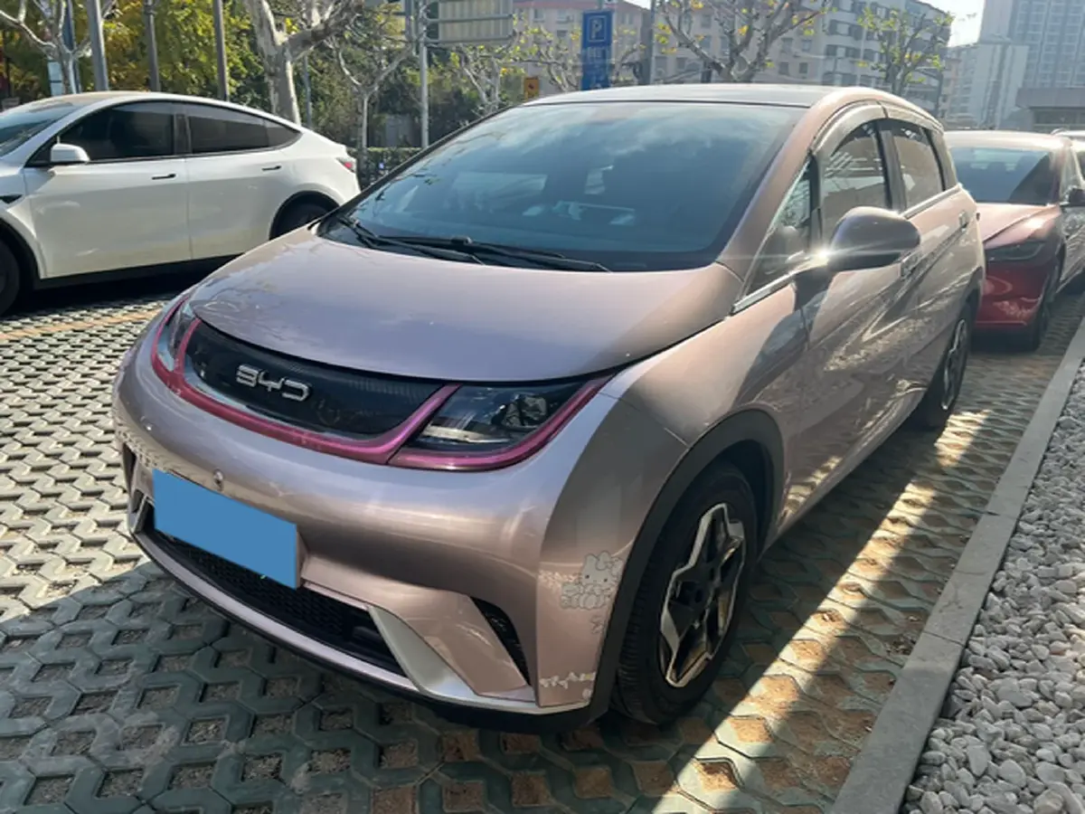 2021 BYD Yuan Pro BEV 50.1KWH