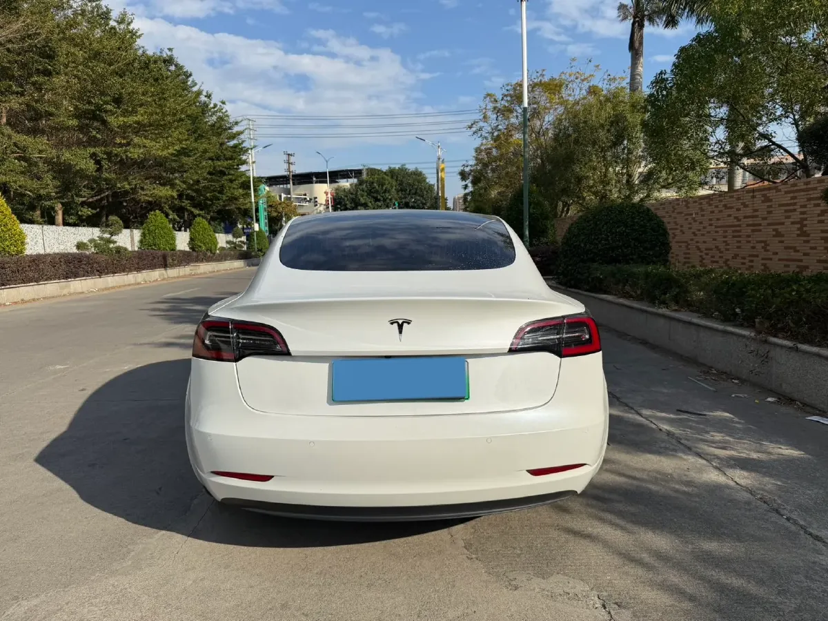 2019 Tesla Model 3 BEV 81KWH,autocango,china used car exporter,china ev exporter,chinese used car exporter,chinese used ev exporter
