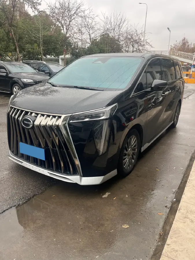 2021 GAC Trumpchi M8 2.0T 252HP L4 8AT