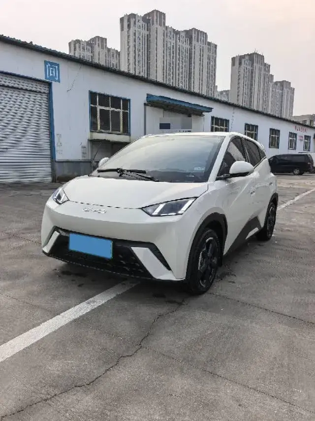 2023 BYD Yuan Pro BEV 38KWH