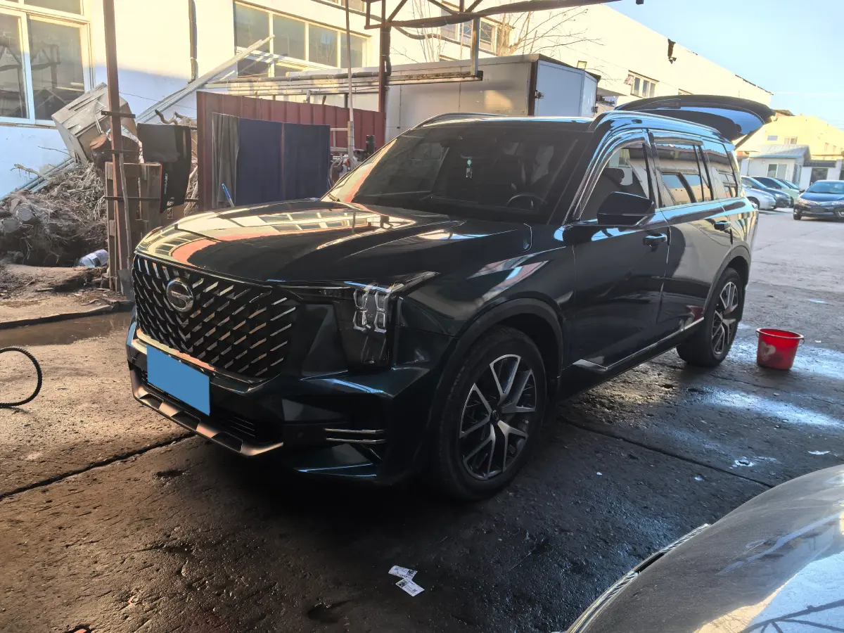 2022 GAC Trumpchi GS8 2.0T 252HP L4 8AT