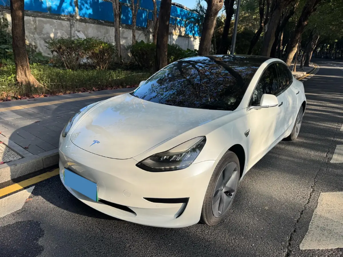 2019 Tesla Model 3 BEV 60KWH