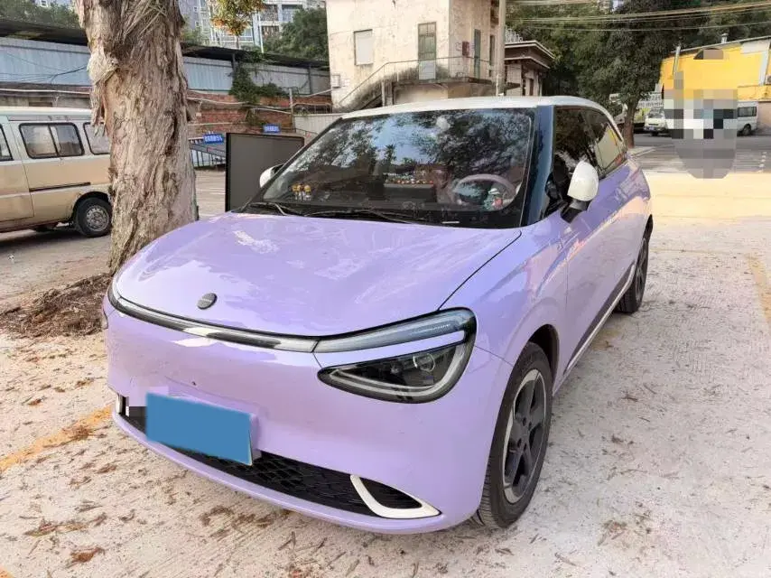 2024 DongFeng Nammi 01 BEV 42.3KWH