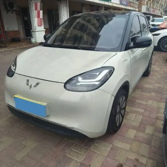 2023 WuLing BinGuo BEV 31.9KWH