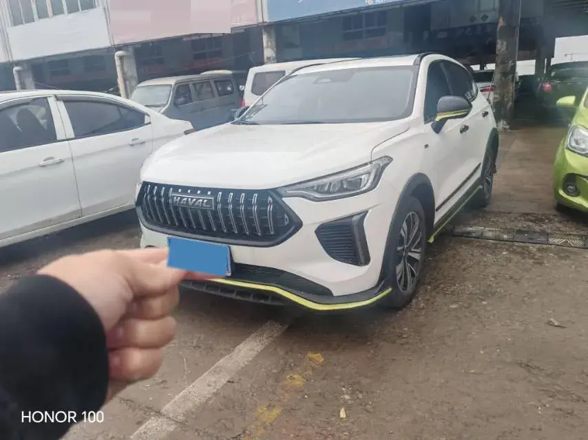 2022 Haval Rabbit 1.5L 101HP L4 2DHT Hybrid 1.69KWH