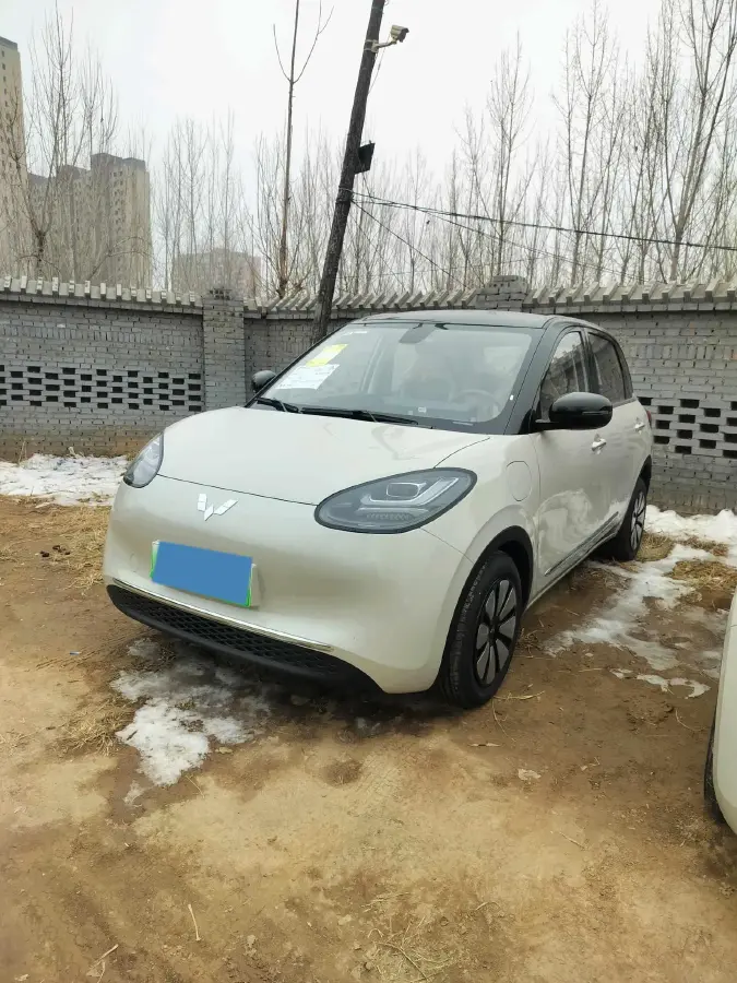 2024 WuLing BinGuo BEV 31.9KWH