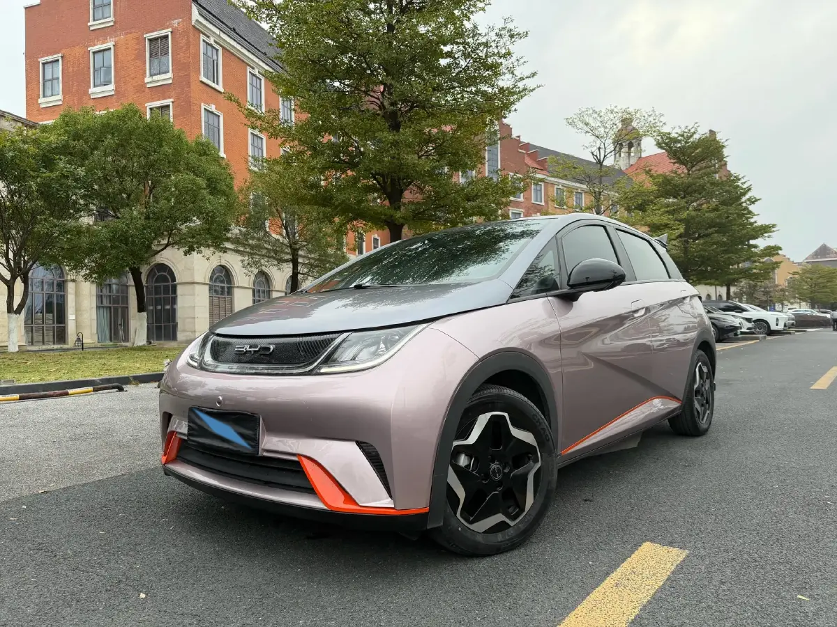 2021 BYD Yuan Pro BEV 50.1KWH