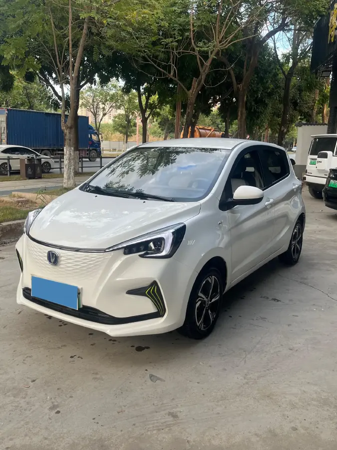 2023 ChangAn BenBen E-Star BEV 30.95KWH