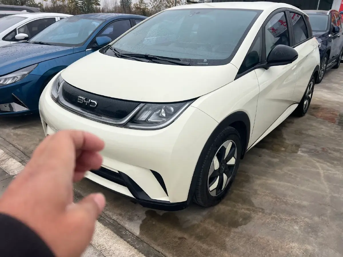 2024 BYD Dolphin BEV 44.928KWH