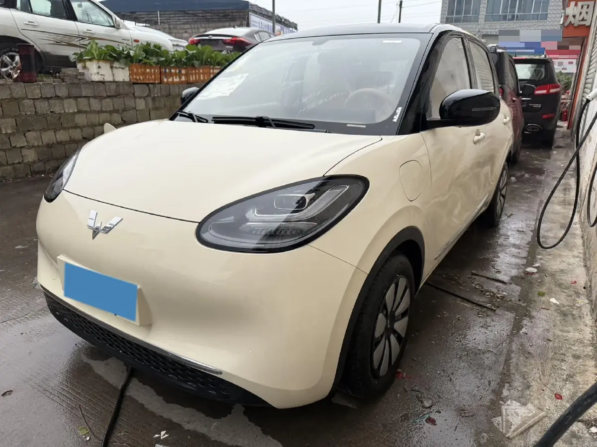 2025 WuLing BinGuo BEV
