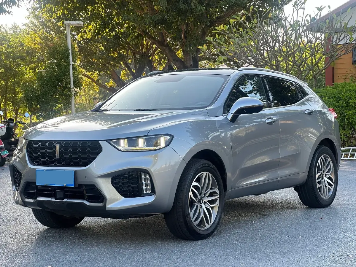 2019 WEY VV5 2.0T 224HP L4 7DCT