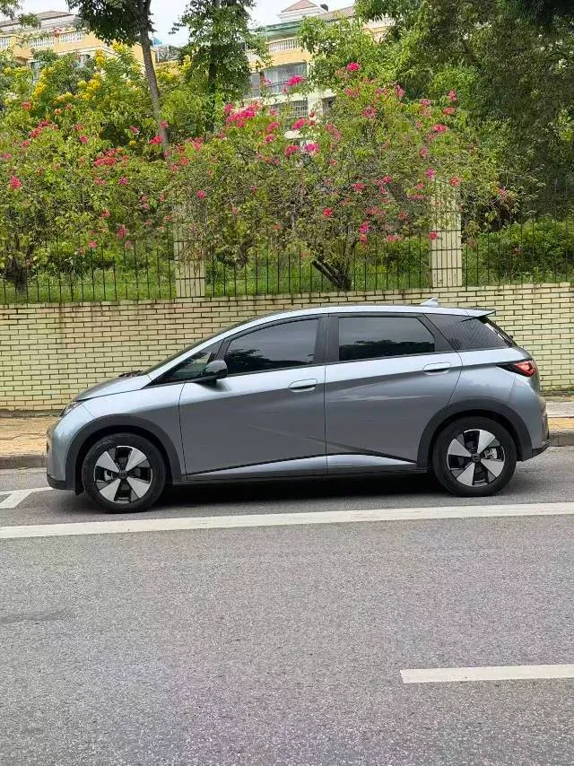 2023 BYD Dolphin BEV 44.928KWH,autocango,china used car exporter,china ev exporter,chinese used car exporter,chinese used ev exporter