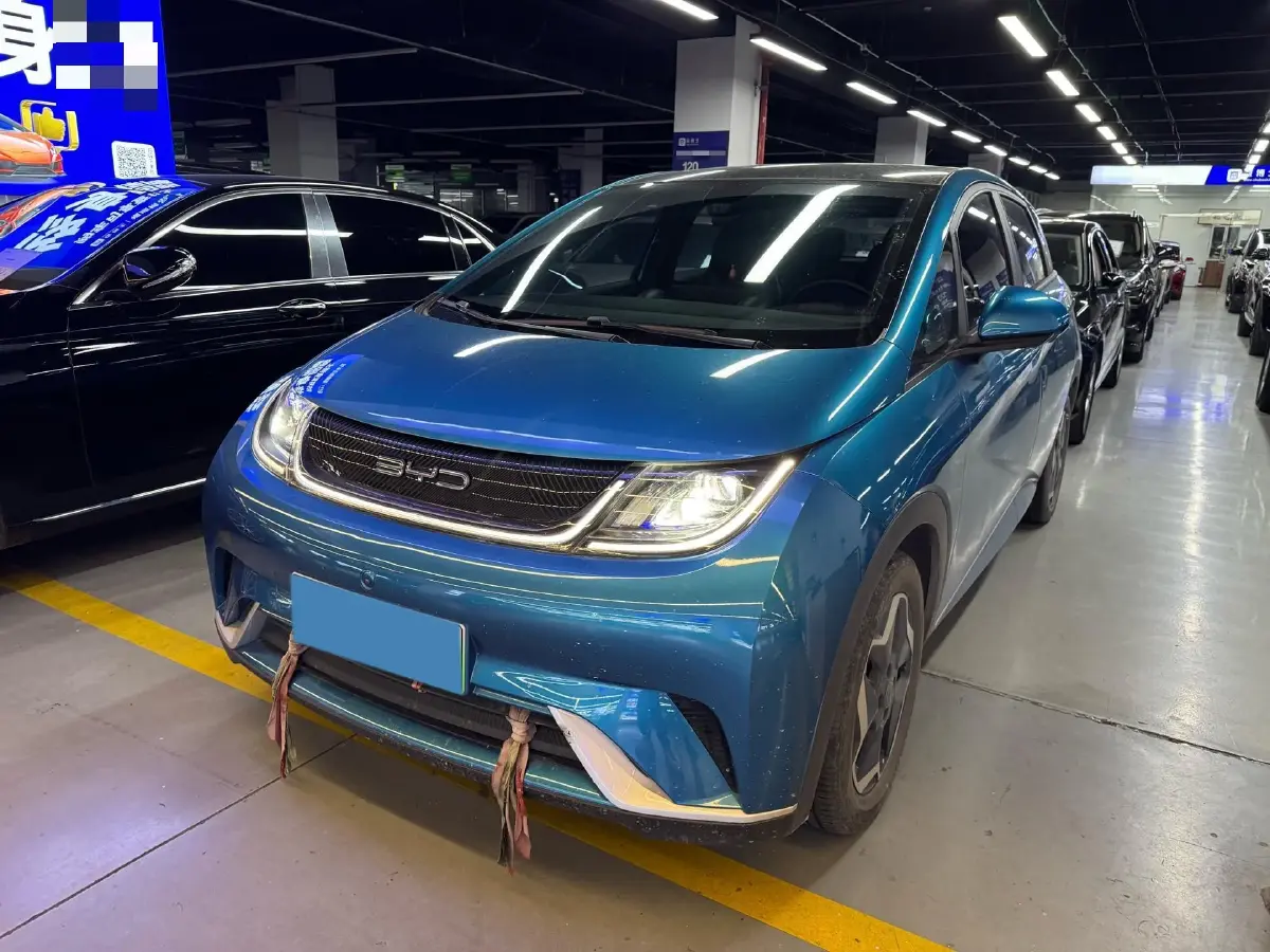 2021 BYD Yuan Pro BEV 50.1KWH