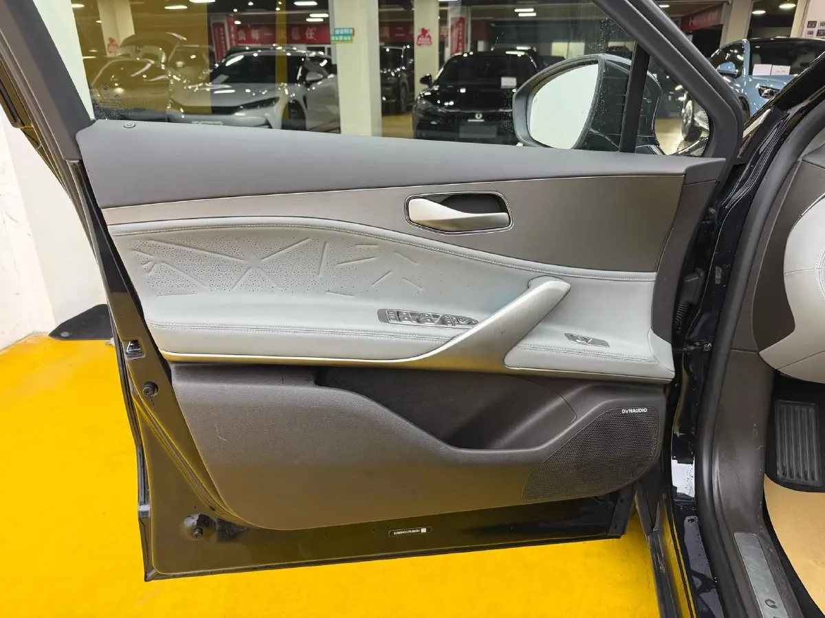 2023 Denza N8 1.5T 139HP L4 E-CVT PHEV 45.8KWH,autocango,china used car exporter,china ev exporter,chinese used car exporter,chinese used ev exporter