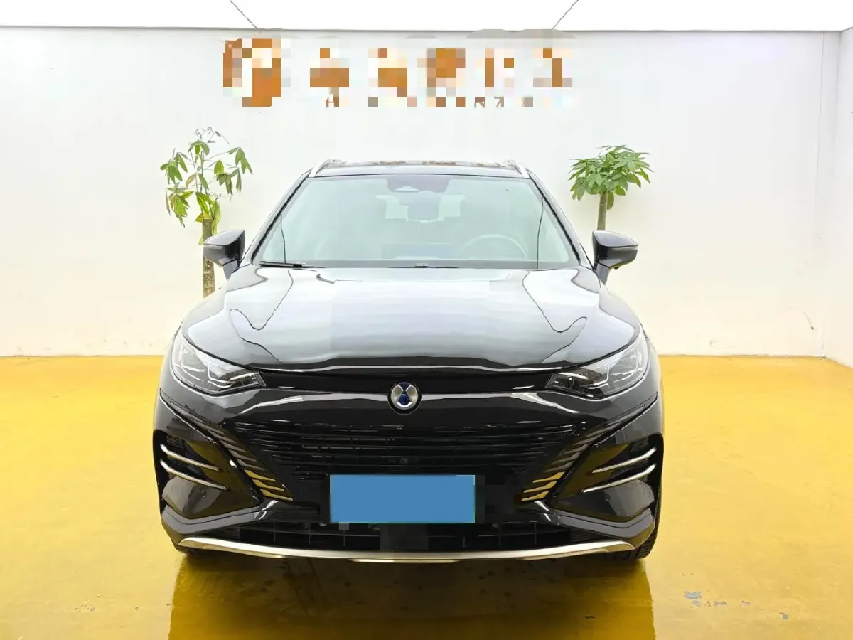 2023 Denza N8 1.5T 139HP L4 E-CVT PHEV 45.8KWH,autocango,china used car exporter,china ev exporter,chinese used car exporter,chinese used ev exporter