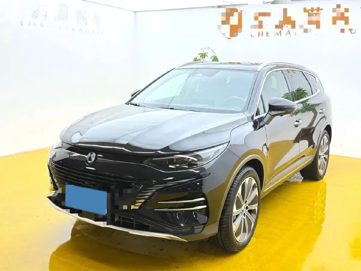 2023 Denza N8 1.5T 139HP L4 E-CVT PHEV 45.8KWH