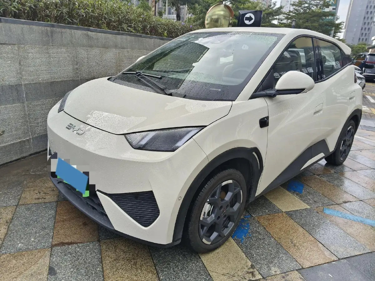 2025 BYD Seagull BEV 30.08KWH