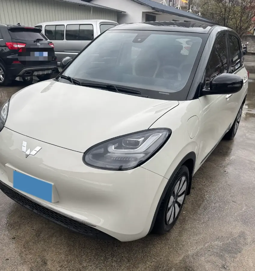 2023 WuLing BinGuo BEV 31.9KWH