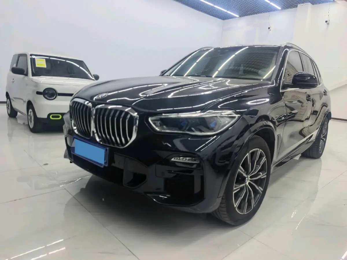 2021 BMW X5 3.0T 340HP L6 8AT