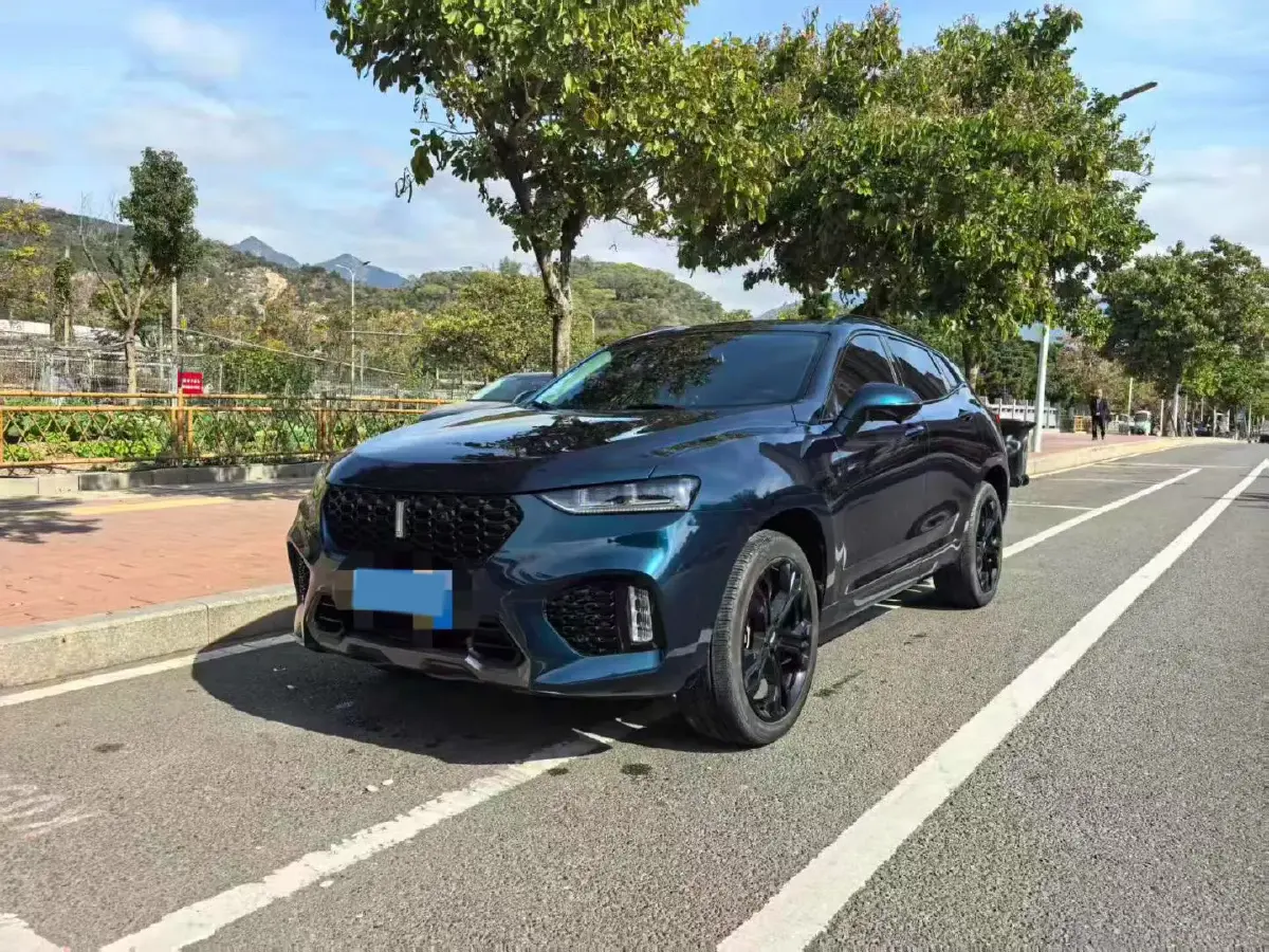 2019 WEY VV7 2.0T 227HP L4 7DCT