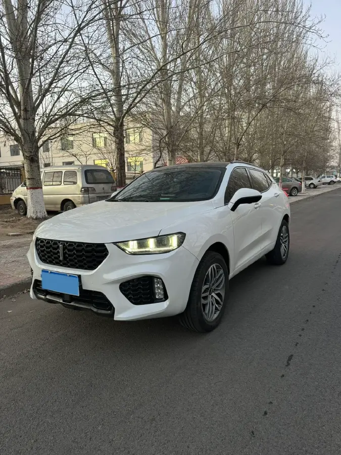 2017 WEY VV5 2.0T 197HP L4 7DCT