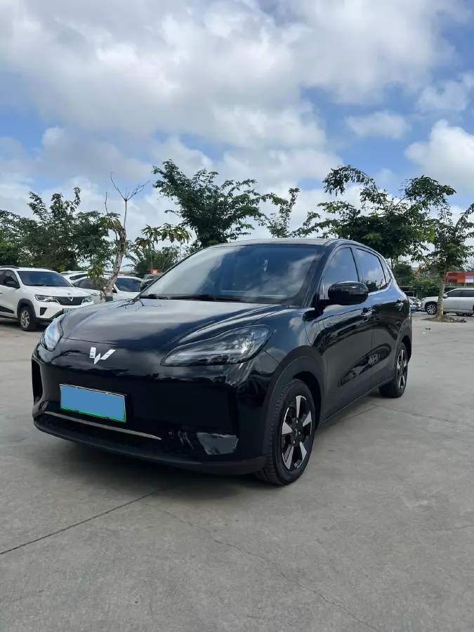 2024 WuLing BinGuoPLUS BEV 50.6KWH