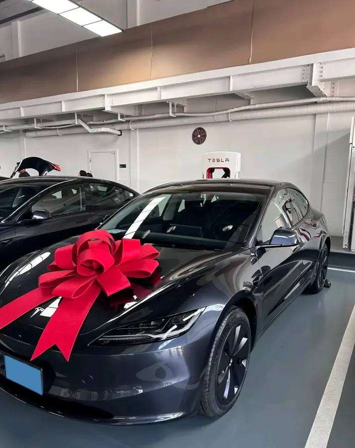 2025 Tesla Model 3 BEV 62.5KWH