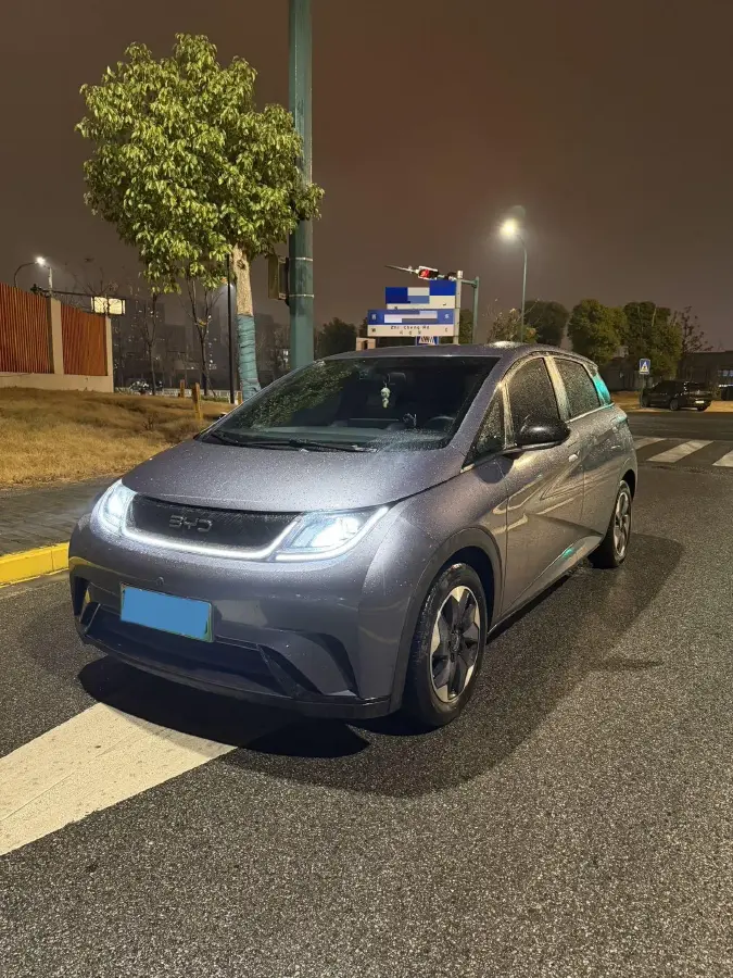 2024 BYD Dolphin BEV 44.928KWH