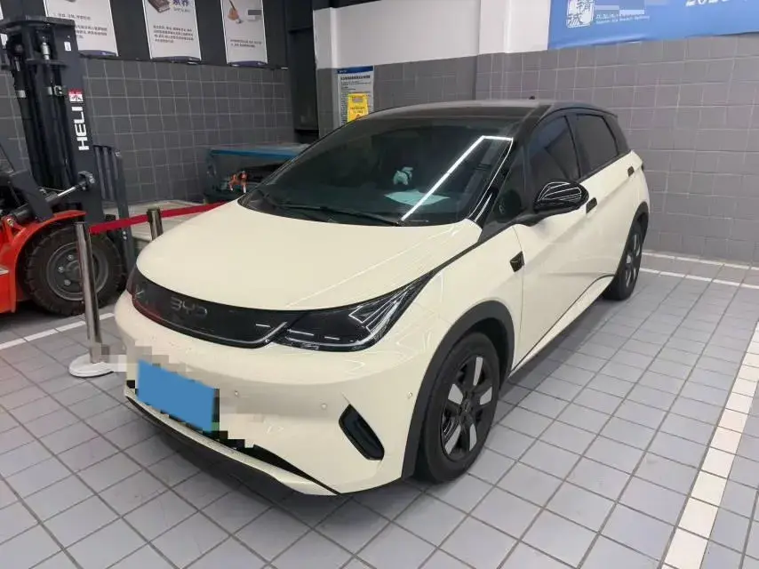 2025 BYD Dolphin BEV 44.928KWH