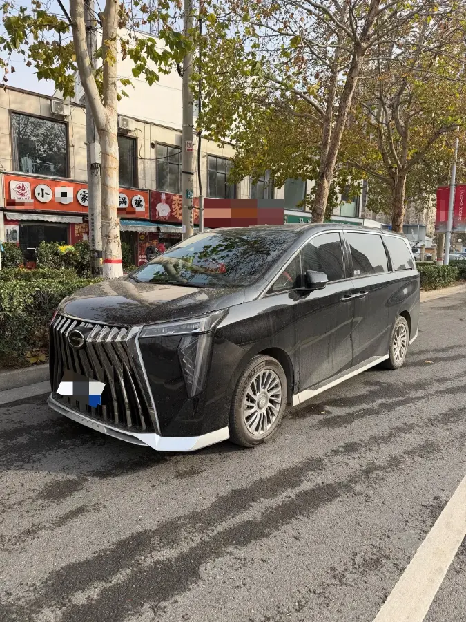 2024 GAC Trumpchi M8 2.0T 252HP L4 8AT