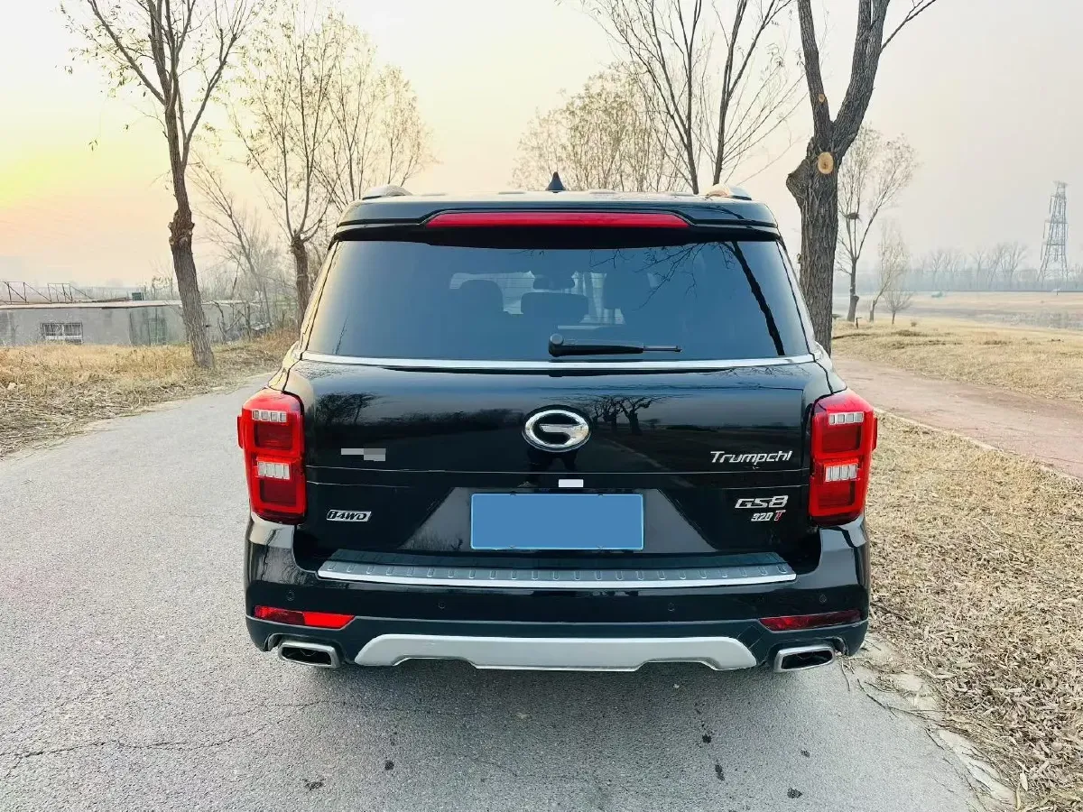 2017 GAC Trumpchi GS8 2.0T 201HP L4 6AT,autocango,china used car exporter,china ev exporter,chinese used car exporter,chinese used ev exporter