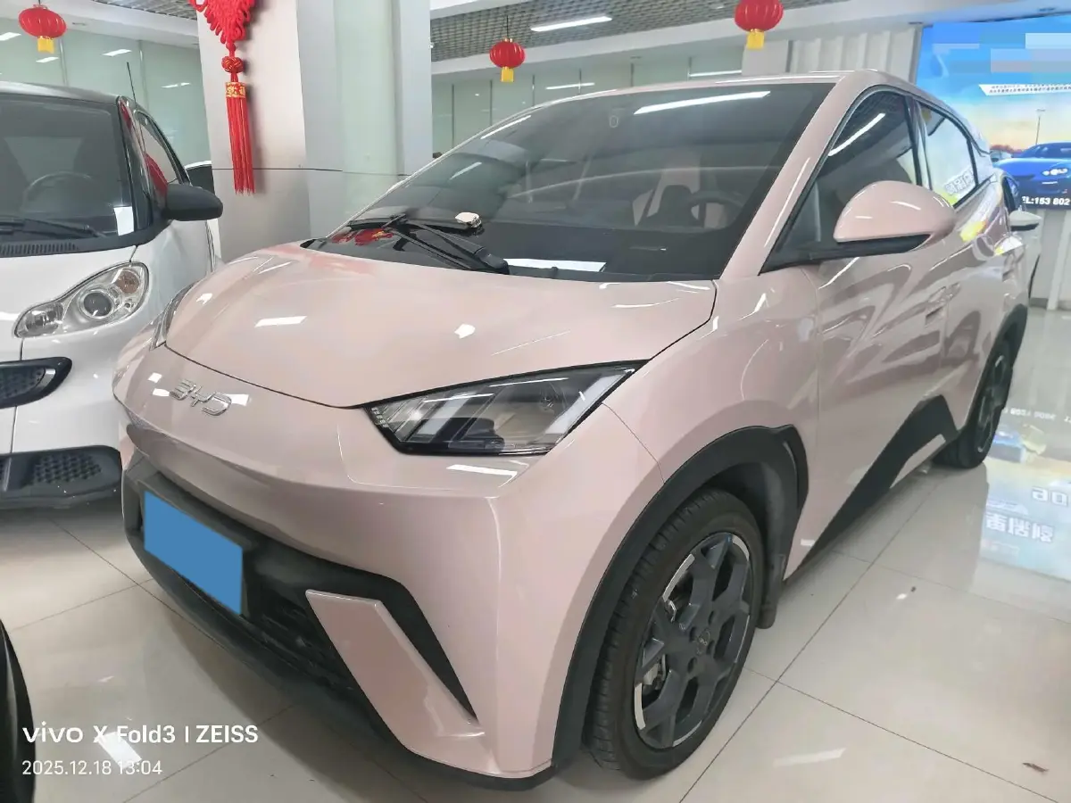 2025 BYD Seagull BEV 30.08KWH