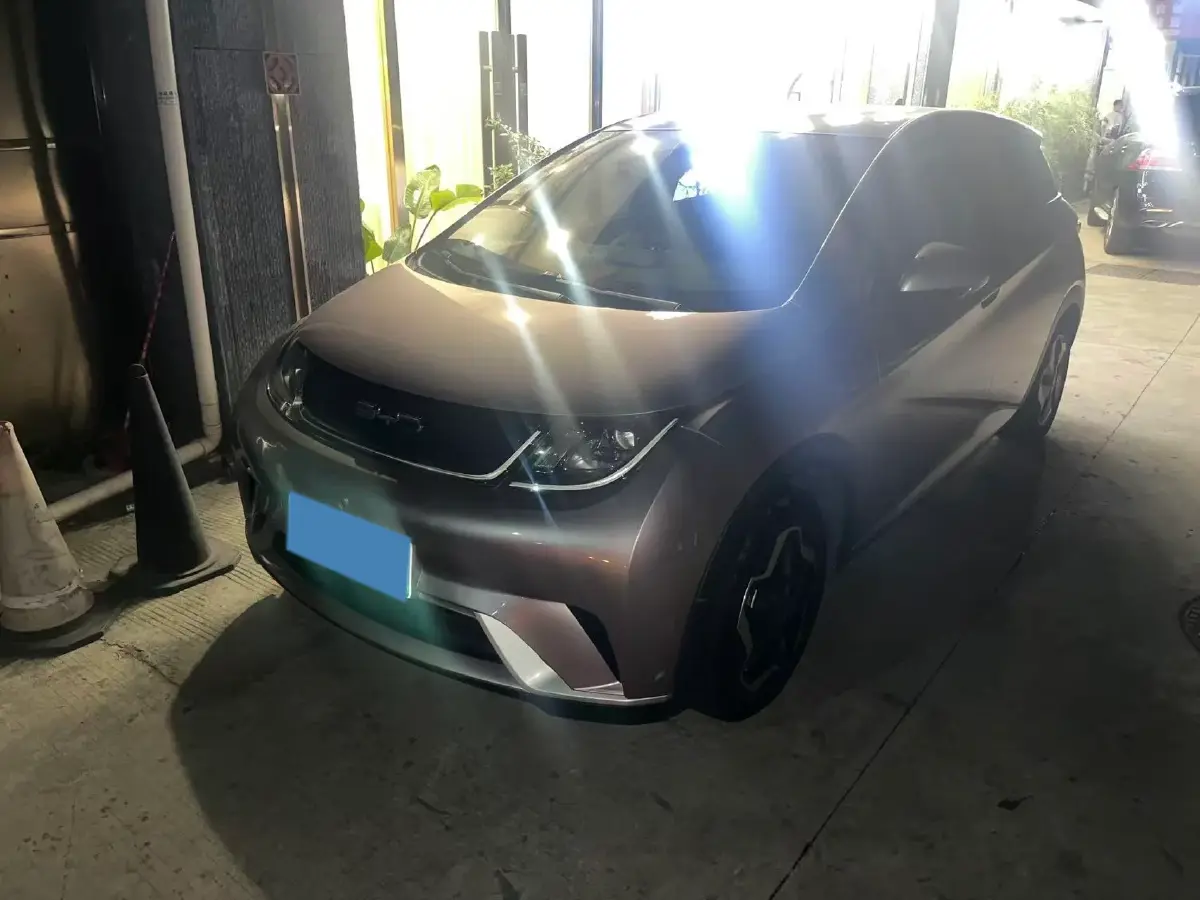 2021 BYD Yuan Pro BEV 50.1KWH