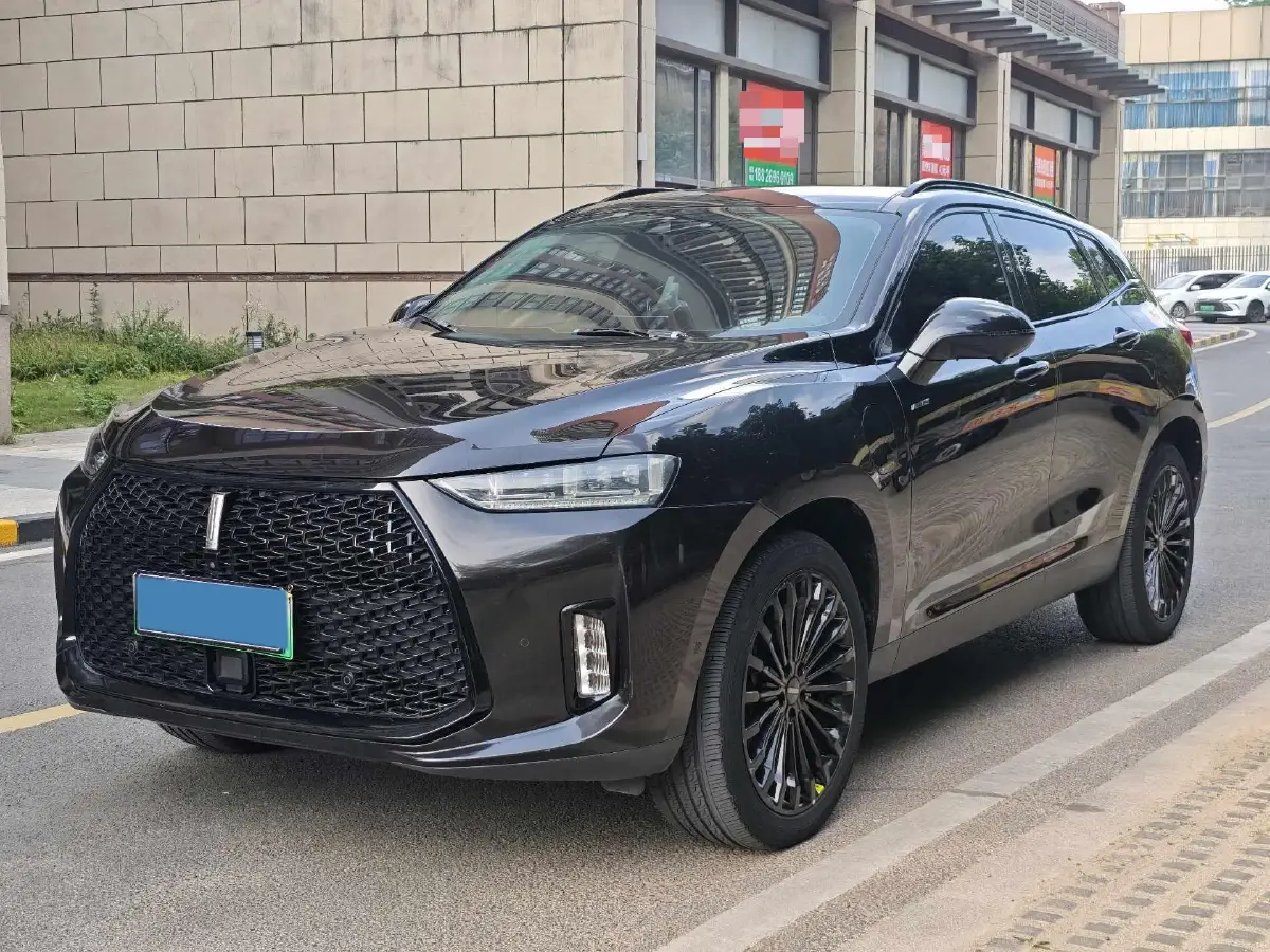 2018 WEY P8 2.0T 234HP L4 6DCT PHEV 12.96KWH