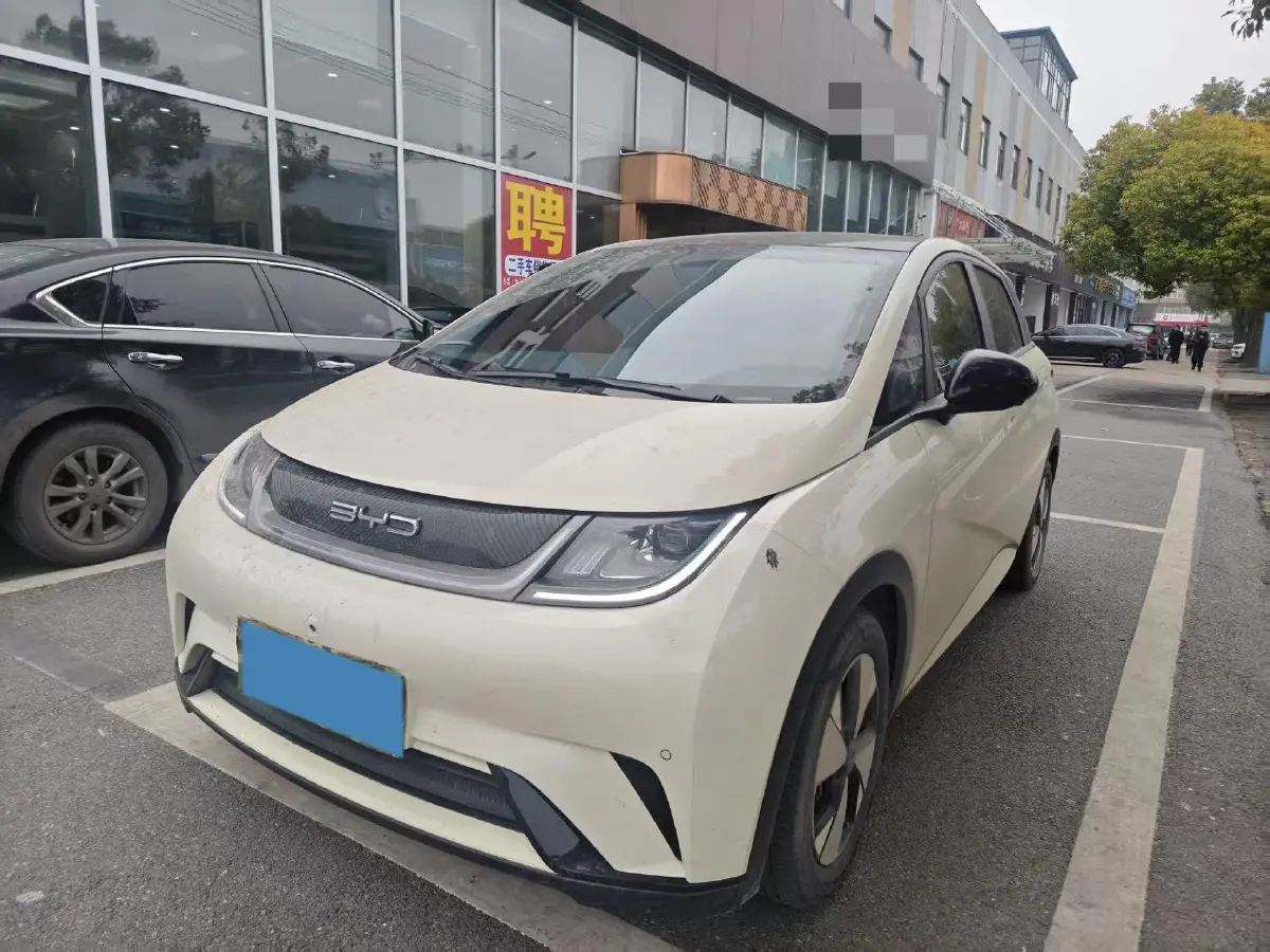 2023 BYD Dolphin BEV 44.928KWH