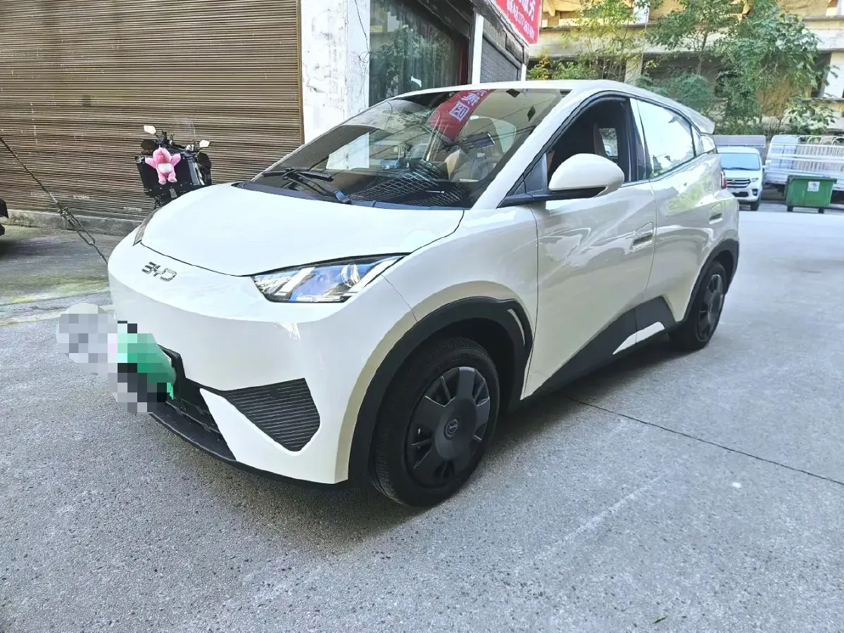 2025 BYD Seagull BEV 30.08KWH