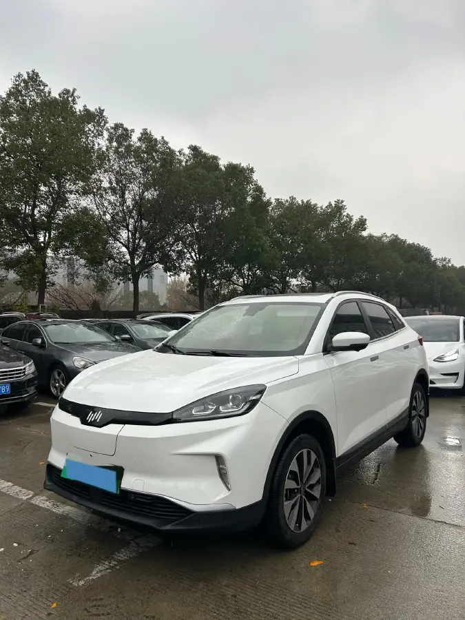 2020 Weltmeister EX5 BEV 69KWH