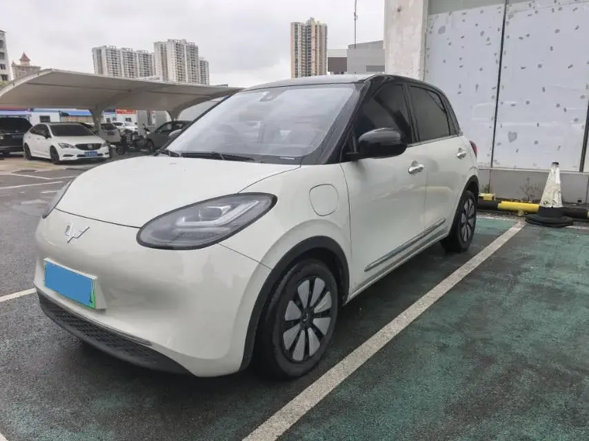 2023 WuLing BinGuo BEV 31.9KWH