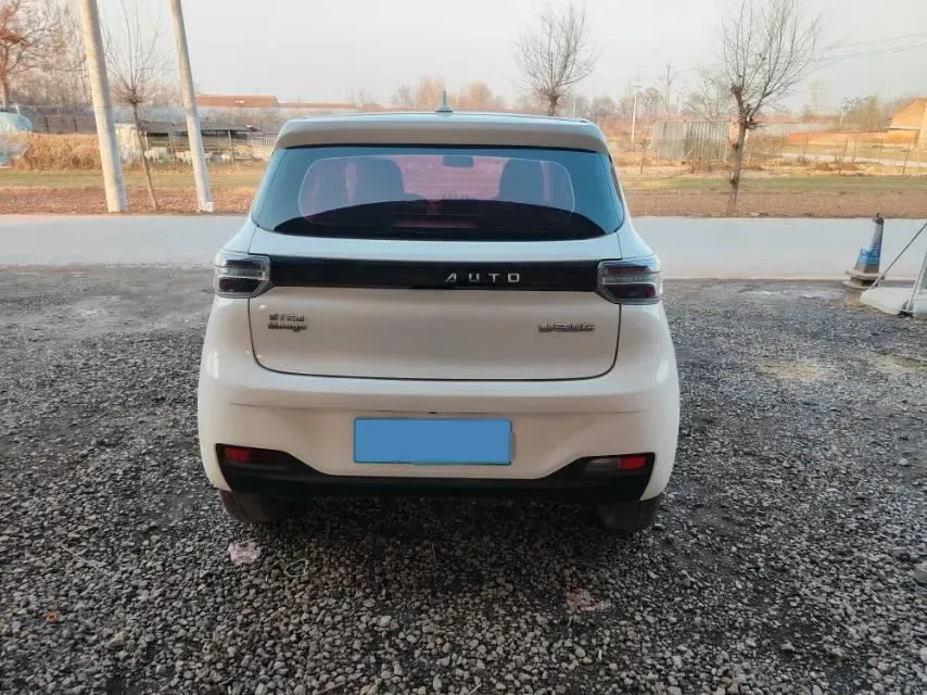 2021 Levdeo Mango BEV 29.44KWH,autocango,china used car exporter,china ev exporter,chinese used car exporter,chinese used ev exporter