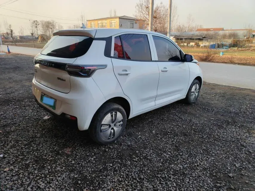2021 Levdeo Mango BEV 29.44KWH,autocango,china used car exporter,china ev exporter,chinese used car exporter,chinese used ev exporter